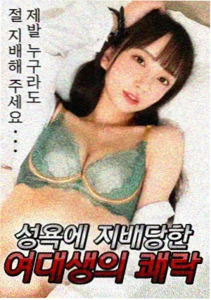 风骚律师